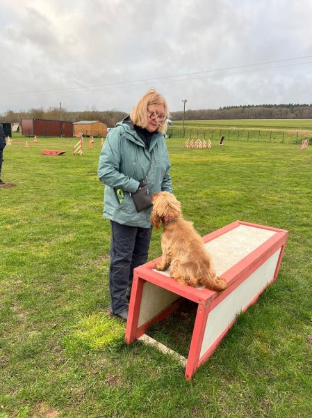 Centre de Formation Cynophile Patrice Foucault - photo 3