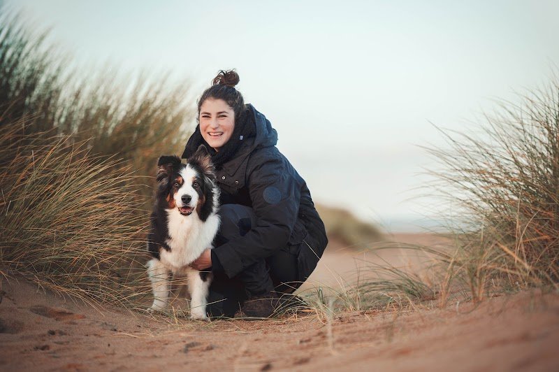 Dog Faculty - photo 3