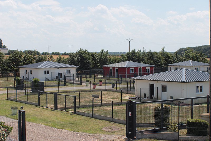 LE PARC DE PLEYBEN - Pension canine féline Élevage chiot Basset hound Bouledogue américain - photo 3