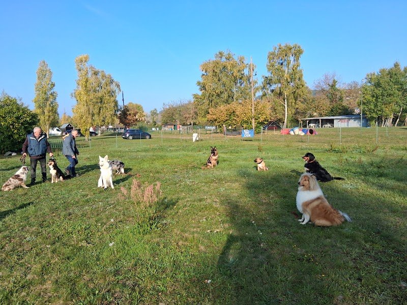 Club Cynophile de Sotteville-sous-le-Val - photo 2