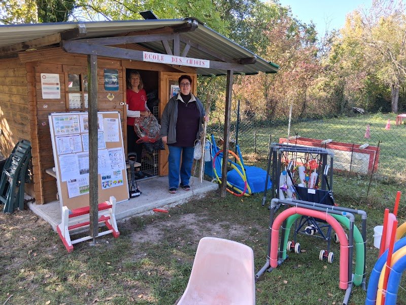 Club Cynophile de Sotteville-sous-le-Val - photo 3