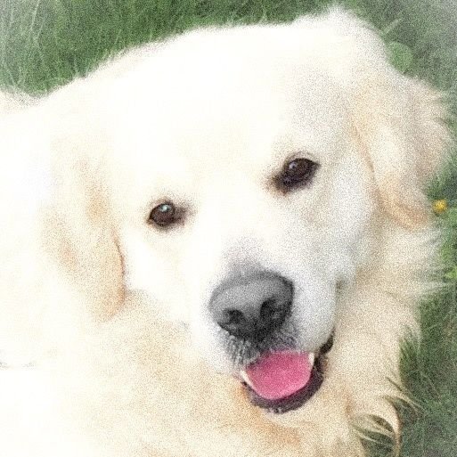 DOG EDUC Academy - photo 3