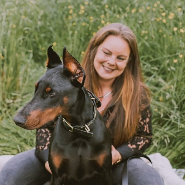 Éducateur canin Respectdogs