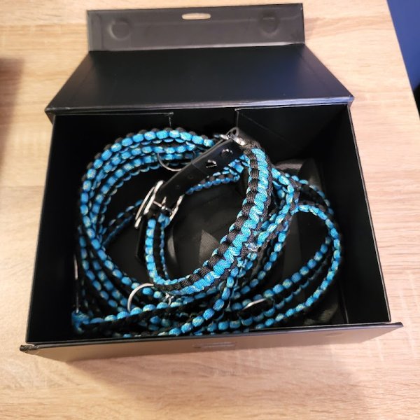 Dogs Family educateur comportementaliste canin - photo 1