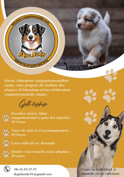 Dogs Family educateur comportementaliste canin - photo 3