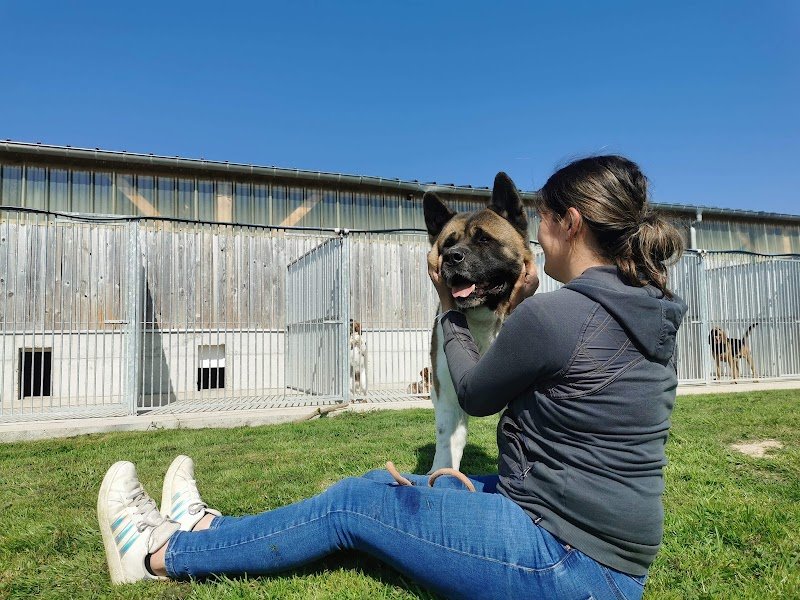 Pension Canine de la Mare de l'Oraille - photo 2