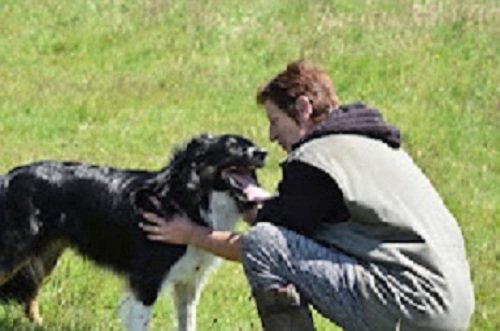 SHEEP DOG MOSS - Educateur canin - photo 1