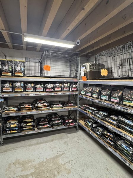 Le Coin Canin - photo 1