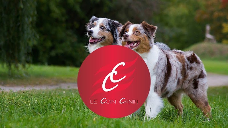 Le Coin Canin - photo 2