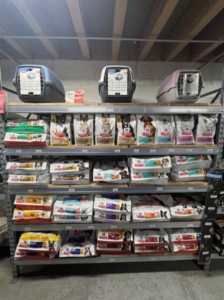 Le Coin Canin - photo 3