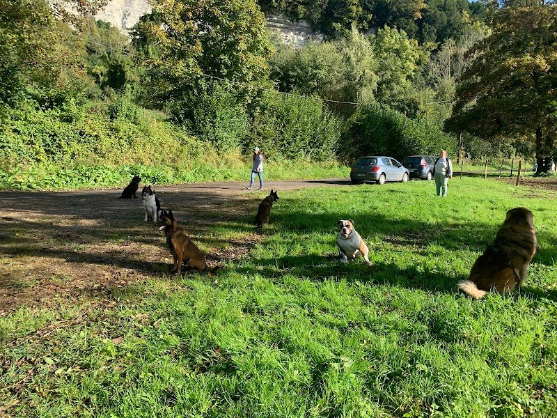 Club canin du Pont de Brotonne - photo 1