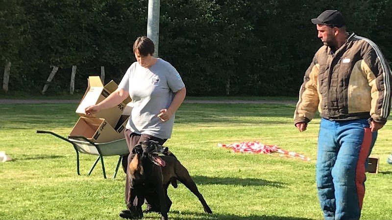 Club canin du Pont de Brotonne - photo 2