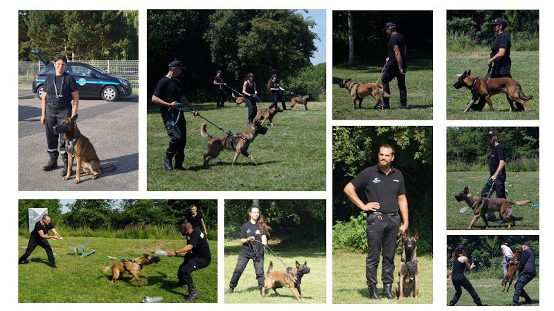 IFESSSU - Centre de formation cynophile - photo 2