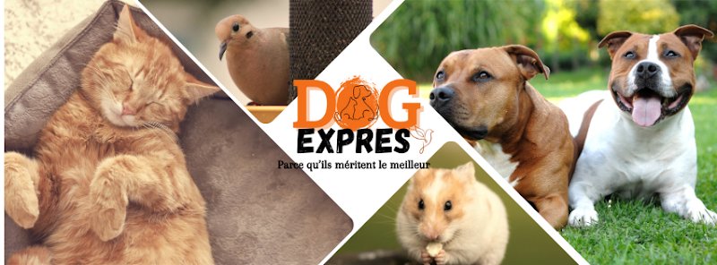 Dog Express - Croquettes Dépôt - photo 2