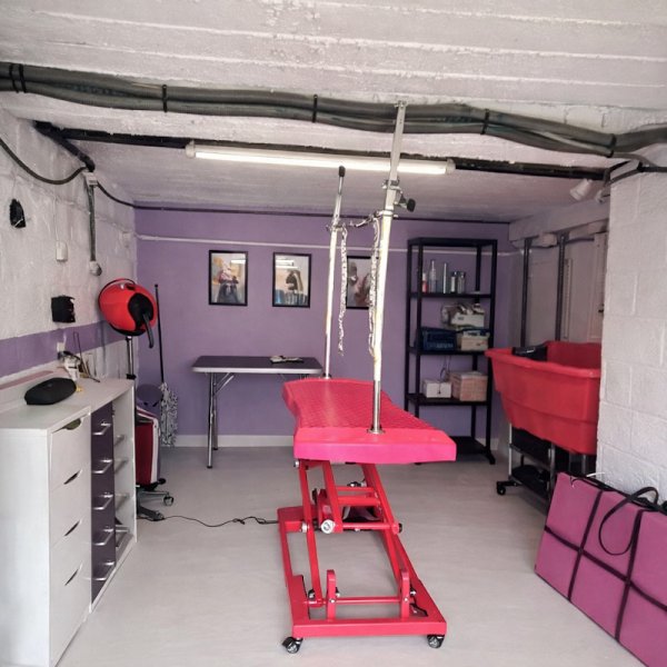 Stephi Dog toilettage - photo 2