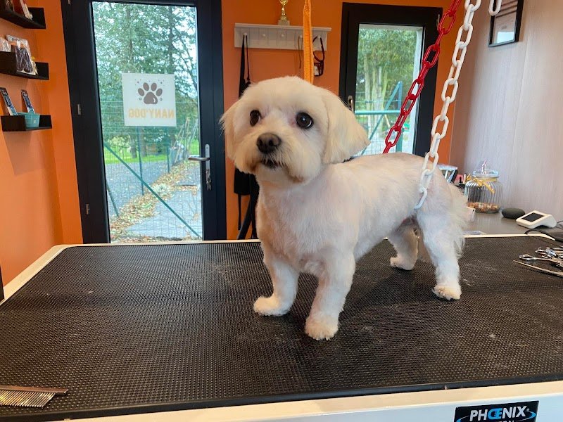 Nany'Dog Toilettage - photo 2