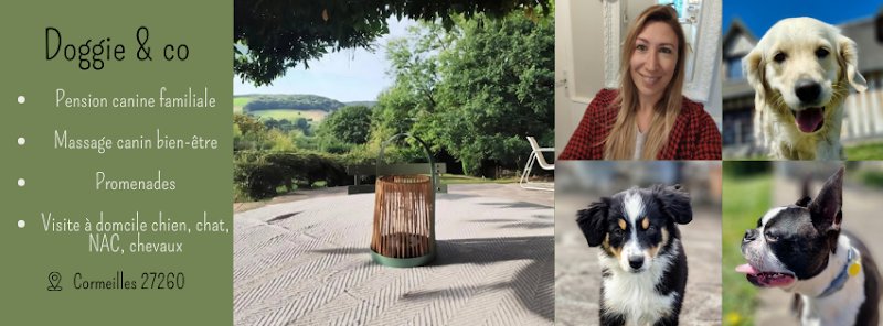 Doggie & co - Promenade et pension canine Normandie