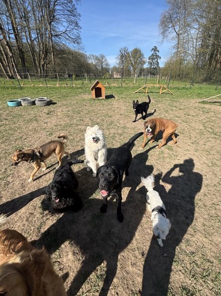 Joucky&Cie Centre Aéré Canin