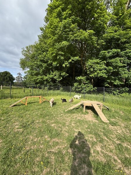 Joucky&Cie Centre Aéré Canin - photo 3