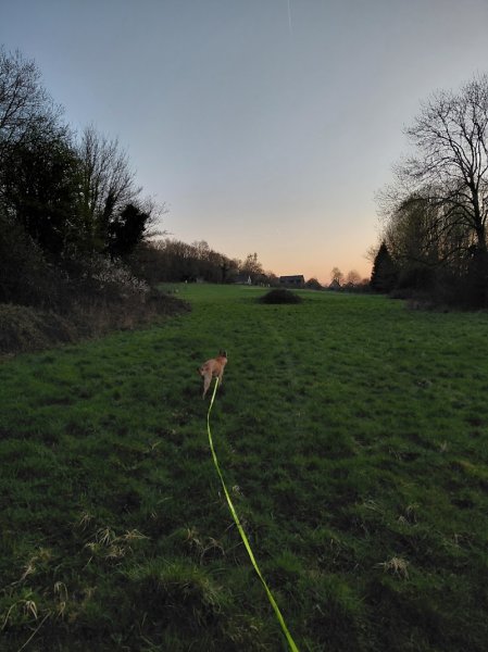 Pension canine Les flots des prés