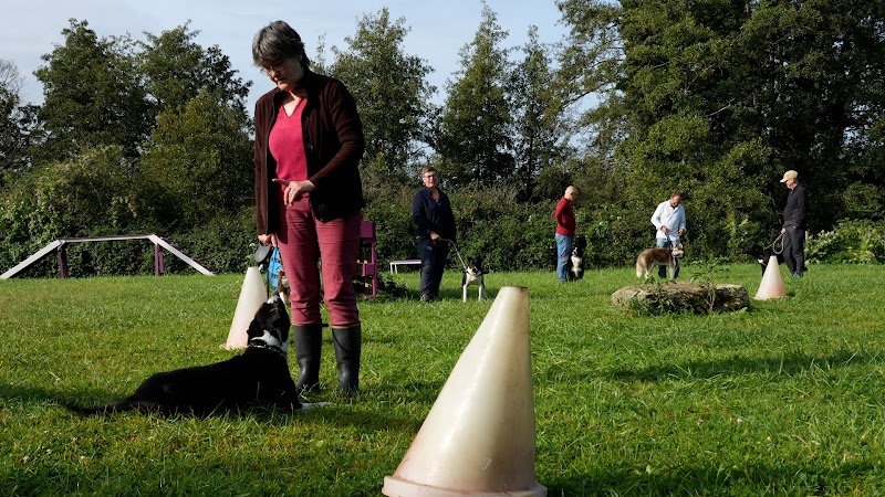 DOG SHEEP AND CO GACÉ - photo 3