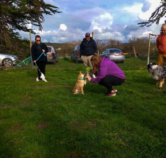 Centre Canin Des Bianches Barrières