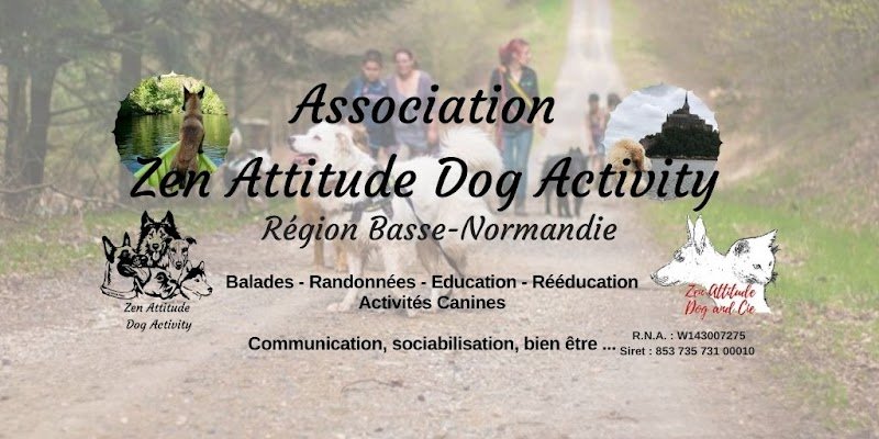 Zen Attitude Dog Activity - photo 1