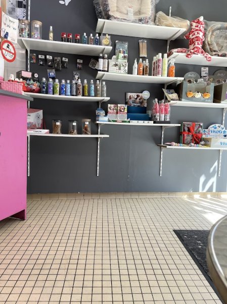 PARADIS DU CHIEN - photo 3