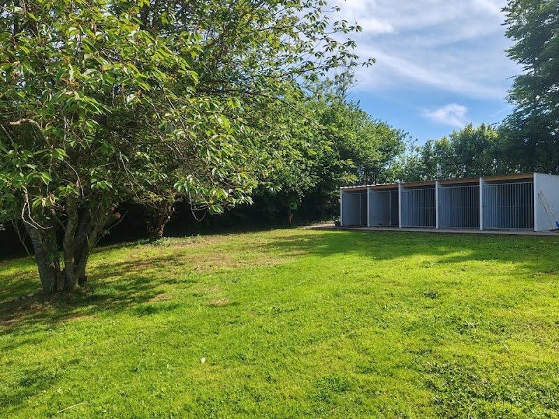 Pension canine - Elevage canin des plumes des marais du Cotentin