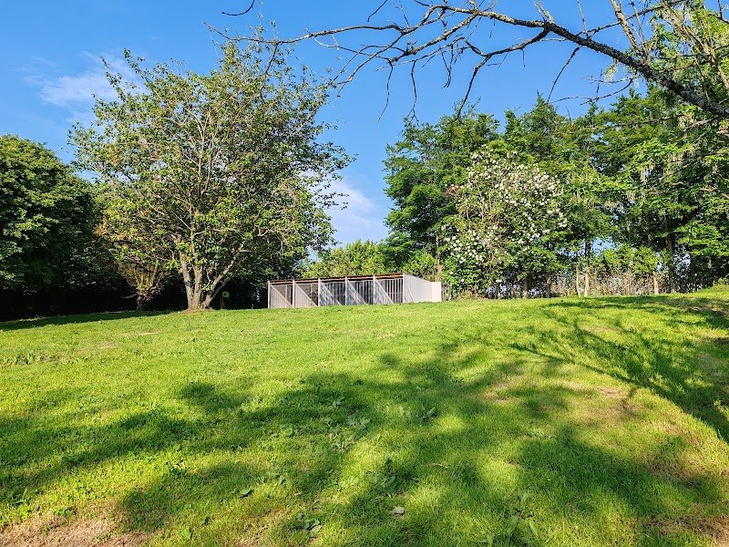 Pension canine - Elevage canin des plumes des marais du Cotentin - photo 2