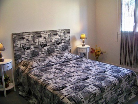 chiens en vacances - photo 2