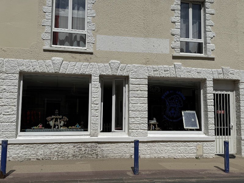 Ever Styldogg - Salon de Toilettage - photo 2