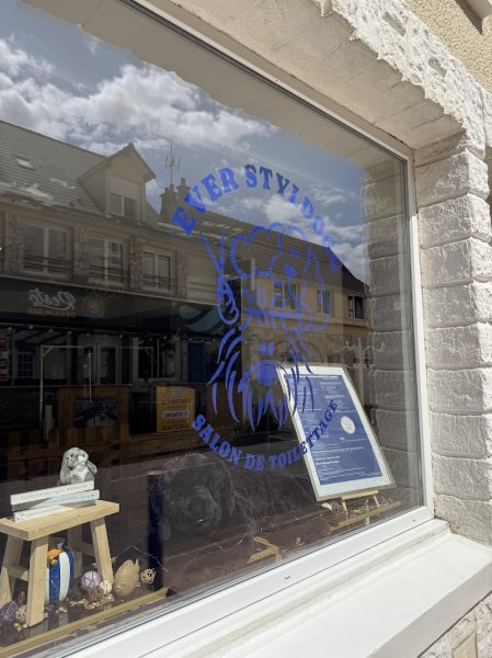 Ever Styldogg - Salon de Toilettage - photo 3