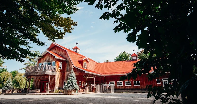 Centre Canin La Patte Champêtre - photo 1