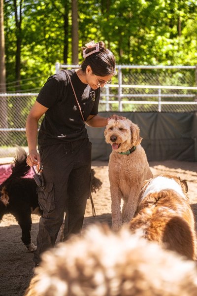 Centre Canin La Patte Champêtre - photo 2