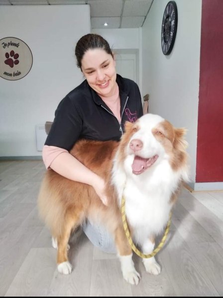 Atelier du Chien, le bien-être canin