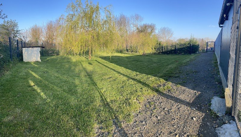 Pension Canine dans la Manche