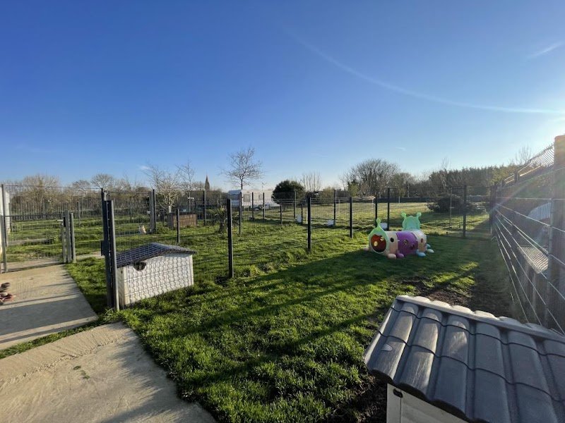 Pension Canine dans la Manche - photo 2