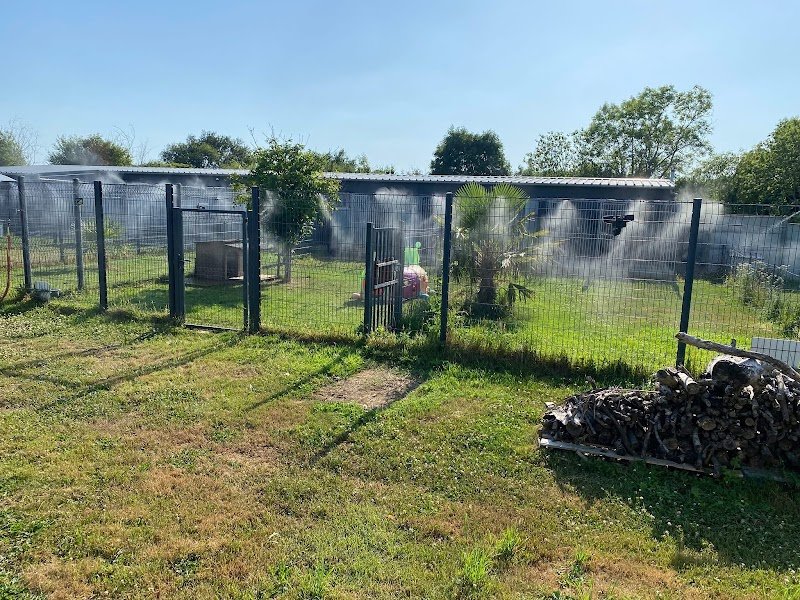 Pension Canine dans la Manche - photo 3