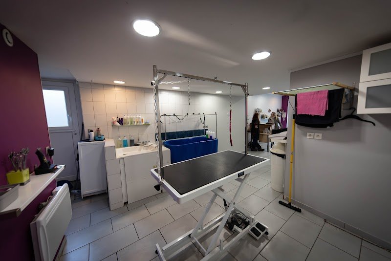 Ô Chien Fertois - photo 3