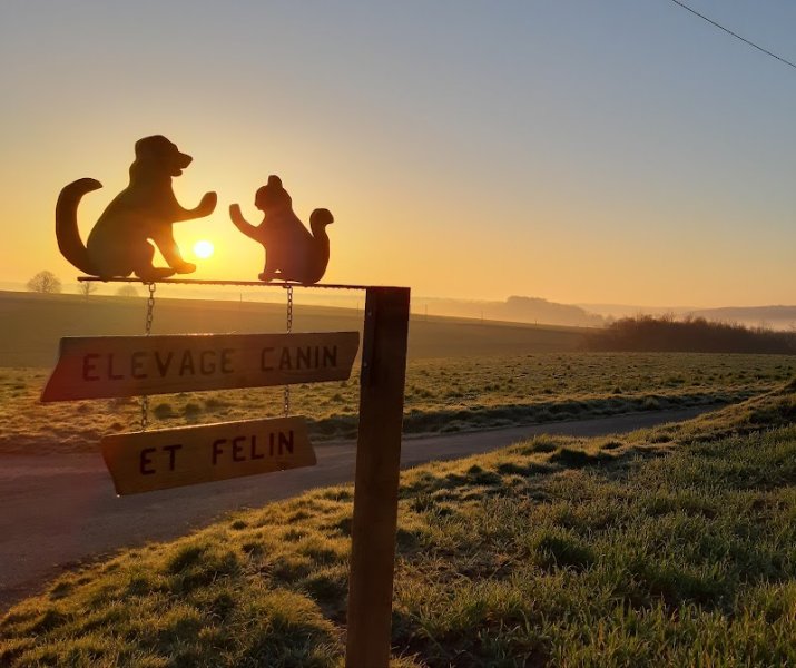 Aurélien Ledemé Elevage canin - photo 3