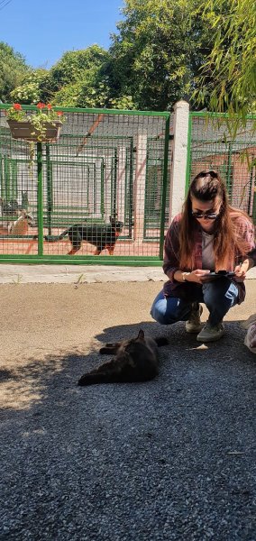 LC Comportement Animal