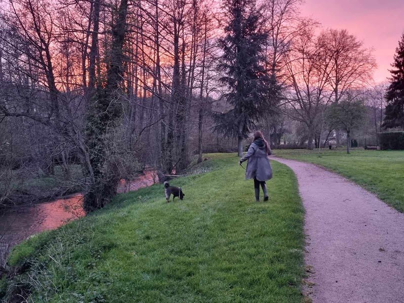 LC Comportement Animal - photo 2