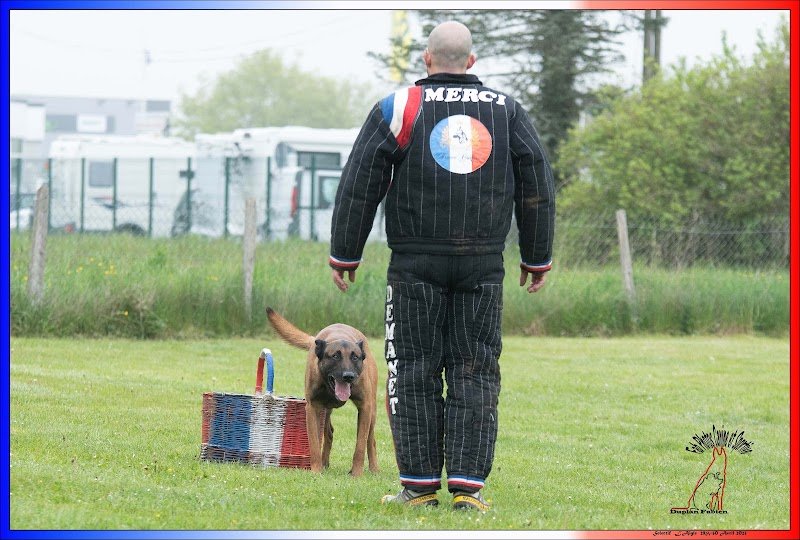 Club Canin les P'tits Coeurs - photo 1