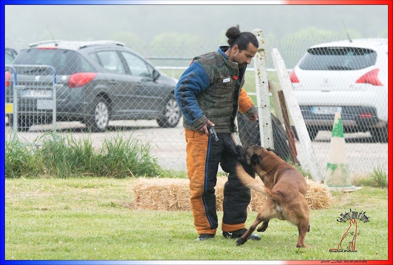 Club Canin les P'tits Coeurs - photo 2