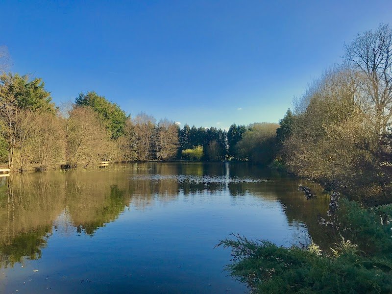 Etang des Petits Chiens