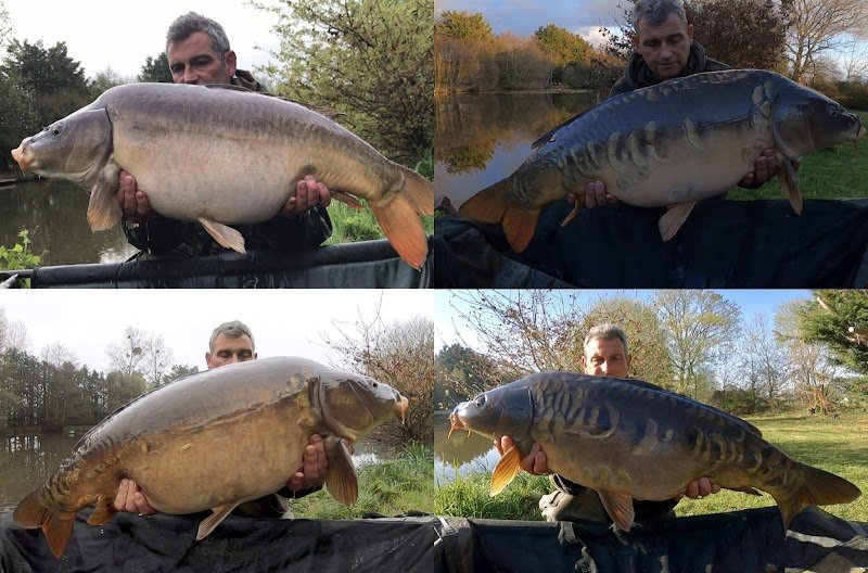 Etang des Petits Chiens - photo 2