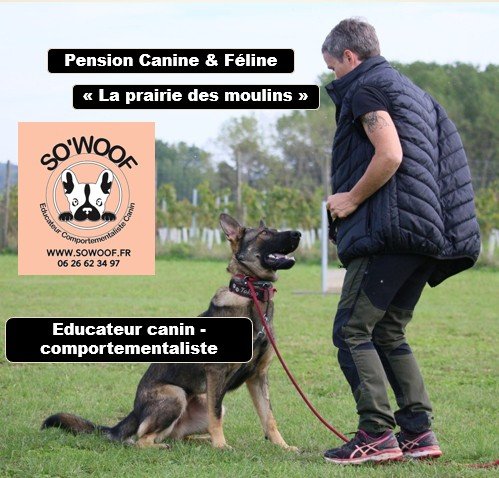 SoWoof - Sophie Boureau - Pension canine et Féline - La prairie des moulins