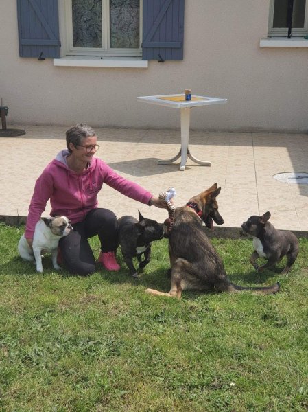 SoWoof - Sophie Boureau - Pension canine et Féline - La prairie des moulins - photo 2