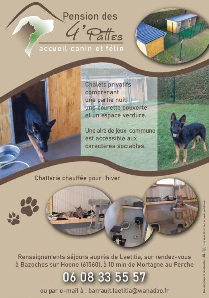 Pension canine et féline des 4'Pattes